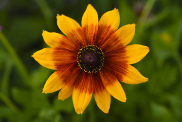 Similar image 22254291