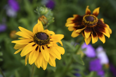 Similar image 22254292