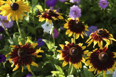 Similar image 22254294