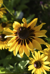 Similar image 22254295