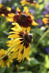 Similar image 22254297