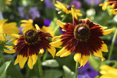 Similar image 22254298