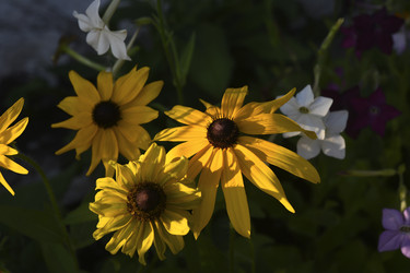 Similar image 22254299