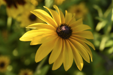 Similar image 22254302