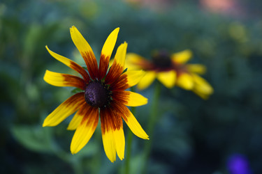 Similar image 22254303