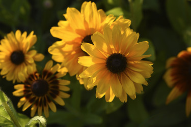 Similar image 22254304