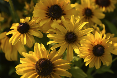 Similar image 22254305