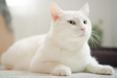 Similar image 22262132