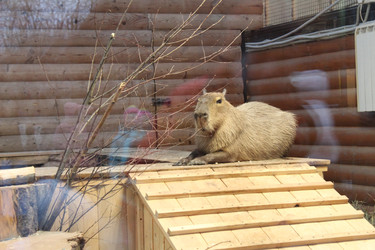 Similar image 22283854