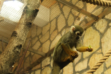 Similar image 22283856