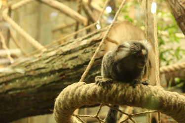 Similar image 22283857