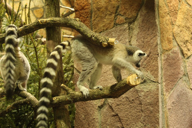 Similar image 22283858