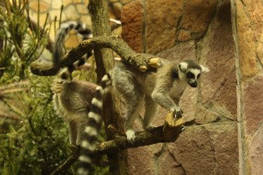 Similar image 22283859