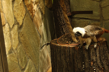 Similar image 22283860