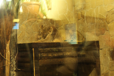 Similar image 22284050