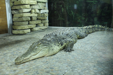 Similar image 22284051