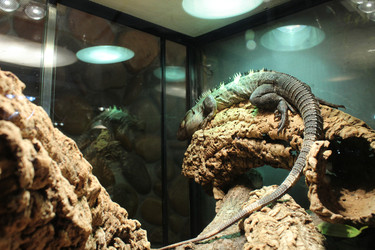 Similar image 22284052