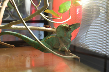 Similar image 22284053