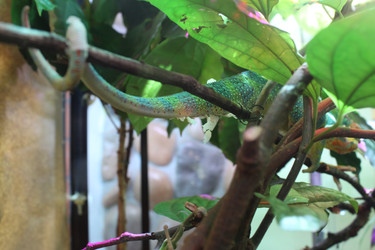 Similar image 22284054