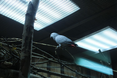 Similar image 22284055