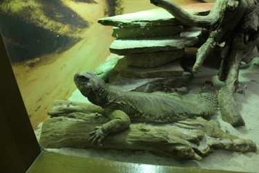 Similar image 22284123