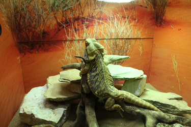 Similar image 22284124