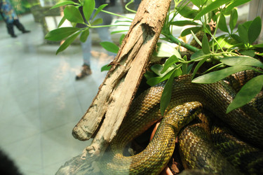 Similar image 22284125