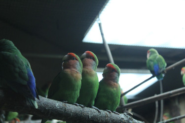 Similar image 22284128