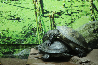 Similar image 22284129