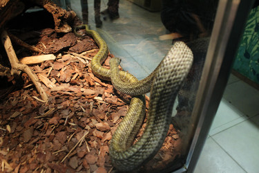 Similar image 22284130