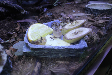 Similar image 22284131