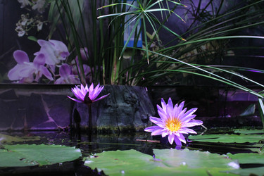 Similar image 22284133