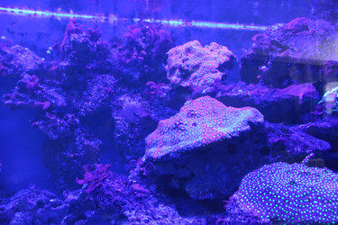 Similar image 22284134