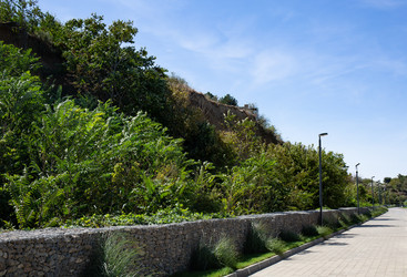 Similar image 22260198