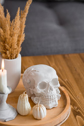 Similar image 22249325