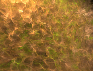 Similar image 22287353