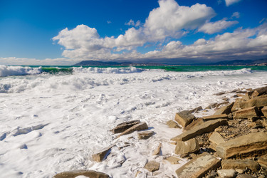 Similar image 22250024