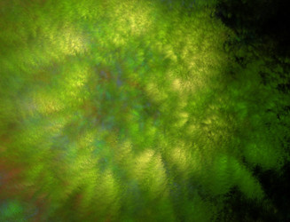 Similar image 22280572