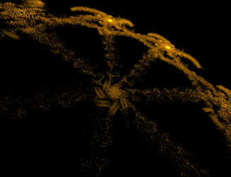 Similar image 22286217