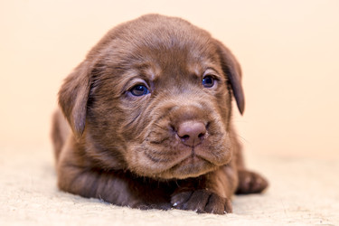 Similar image 22279421