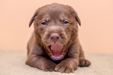 Similar image 22279423