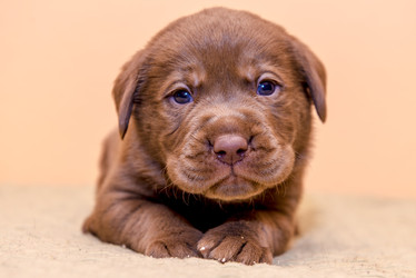 Similar image 22279425