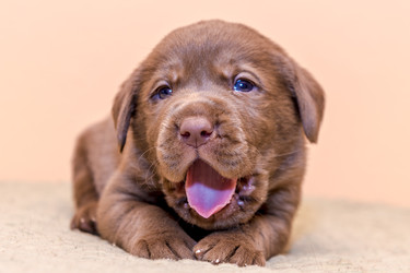 Similar image 22279427