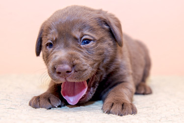 Similar image 22279431