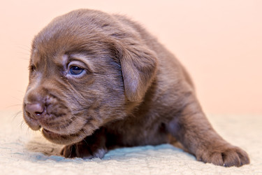 Similar image 22279433