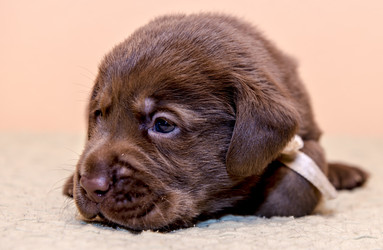 Similar image 22279434