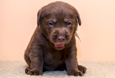 Similar image 22279444