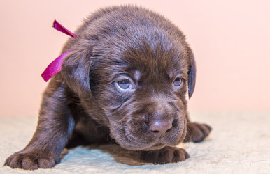 Similar image 22279445