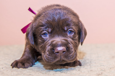 Similar image 22279448