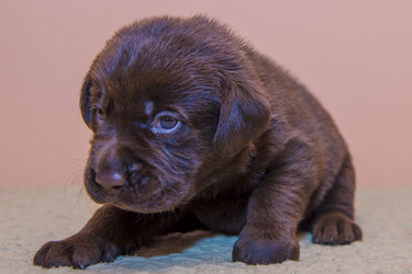 Similar image 22279449